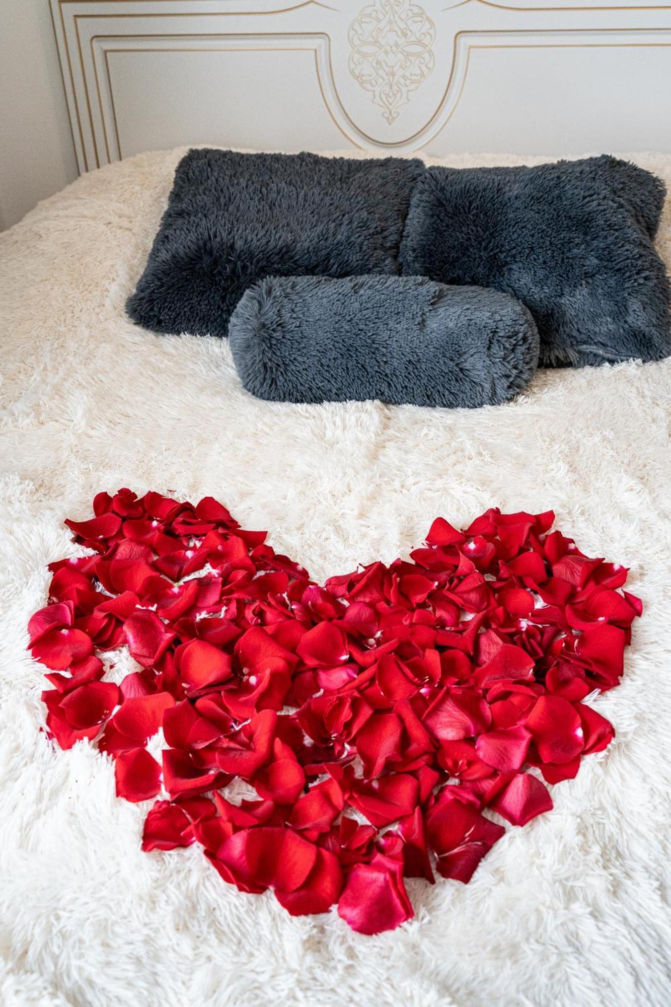 Kingdom Of 3 Roses Apartment Prague Luaran gambar